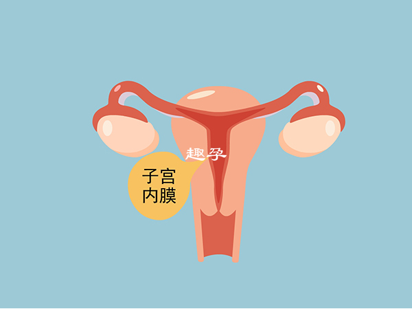 女性过多服用雌激素也能导致子宫内膜增厚