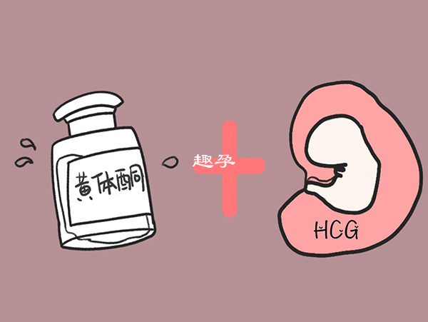 女性体内的hcg值是判断怀孕的标志