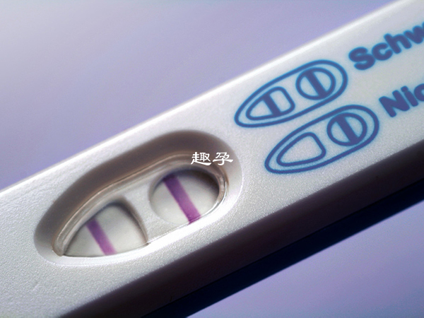 3aa囊胚懷孕機率在50%-60%左右