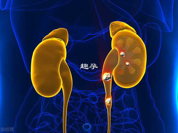 慢性腎功能不全患者早期可能僅僅表現為夜間排尿次數和尿量的增多