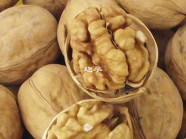 巴西核桃富含硒元素多吃有助於受孕