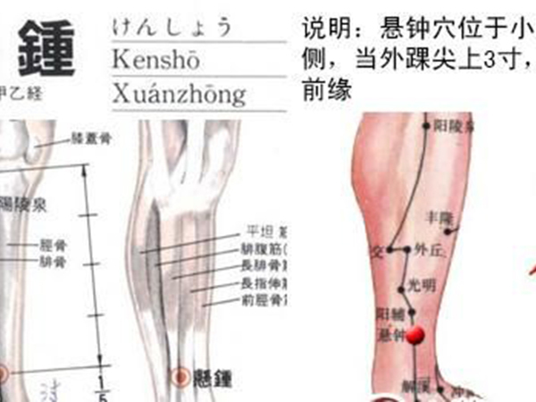 低压高可以敲击两侧悬钟穴