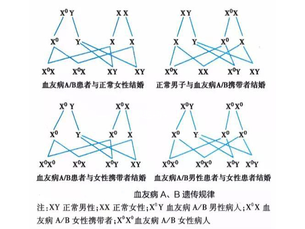 女性患血友病的情况十分罕见