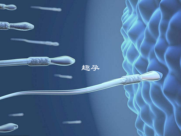 精卵結合失敗會導致不孕不育