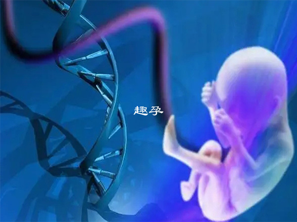 hiv患者懷孕會傳染胎兒