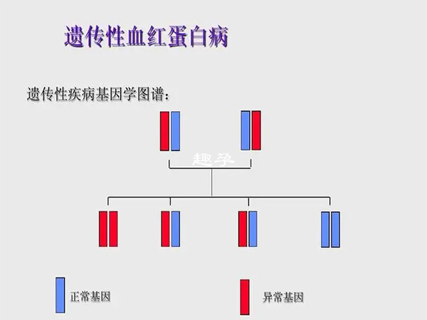 遗传性疾病的基因学图谱