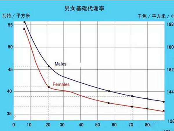 礎代謝率會因年齡性別有所差異