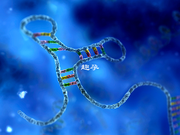 RNA对于治疗有一定的跟踪调查效果