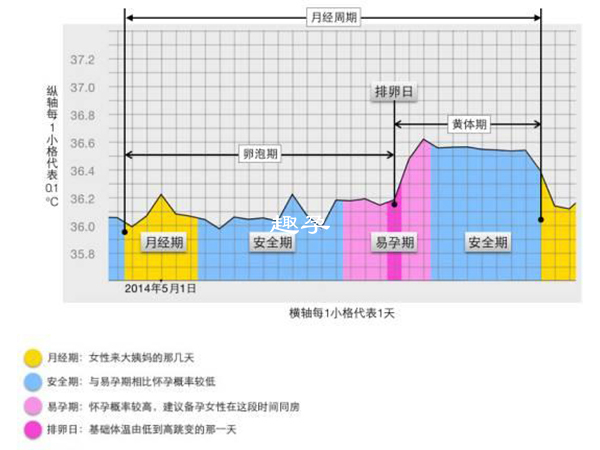 基础体温测量法可以测量排卵日