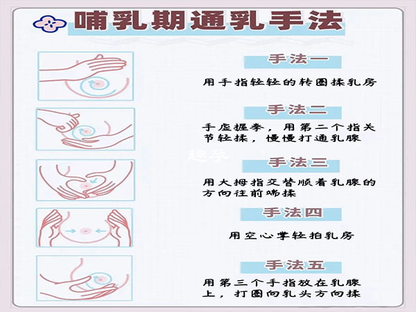 用手指擠奶的步驟圖