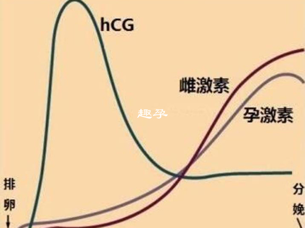 生化妊娠過程中hcg值會出現變化