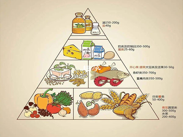 飲食的結構要合理、品種要多樣