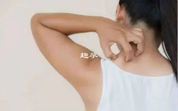 催乳激素（PRL）是什么意思