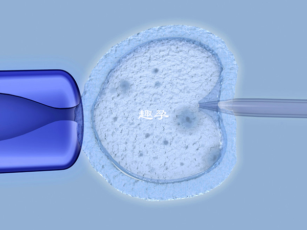 做试管囊胚移植不容易失败