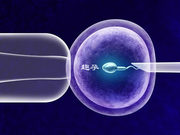 馬來西亞人工授精技術