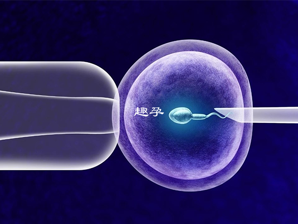 国内不能做单身试管婴儿