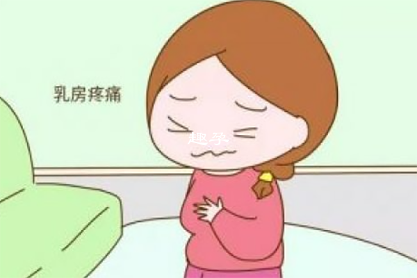 孕期乳頭一直痛是正常現象