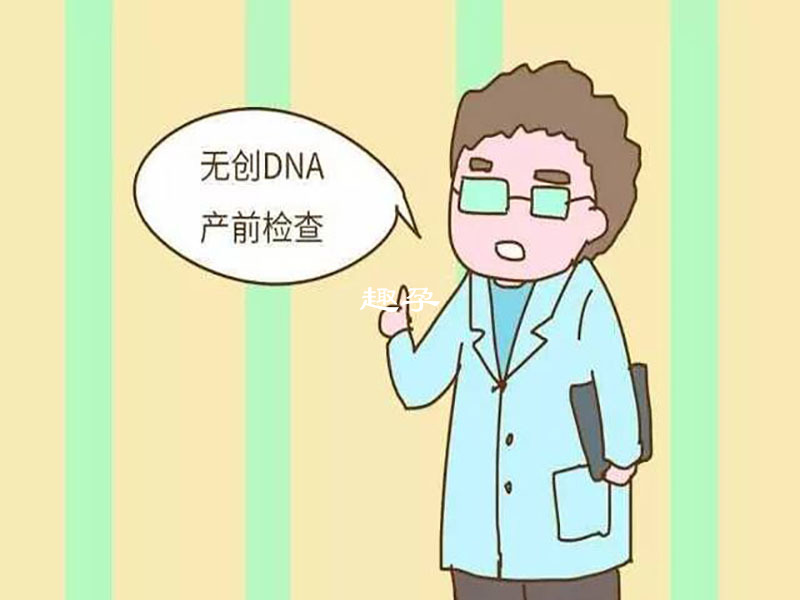 无创dna胎儿性别的判断公式