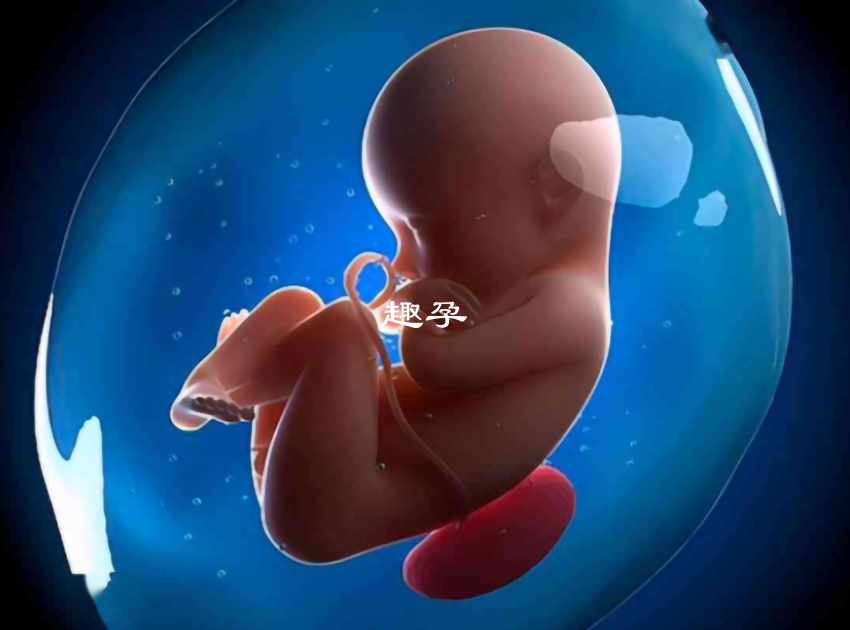 胎兒發育因基因突變會導致火棉膠嬰兒