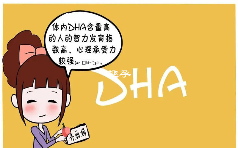 国产高含量dha品牌