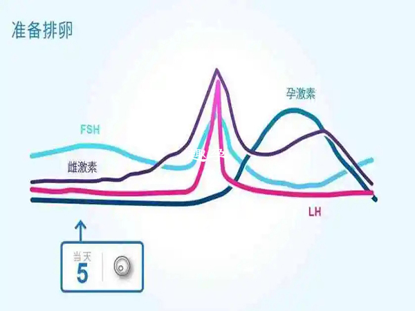 卵泡期激素六项标准范围值