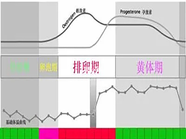 黄体期激素六项标准范围值