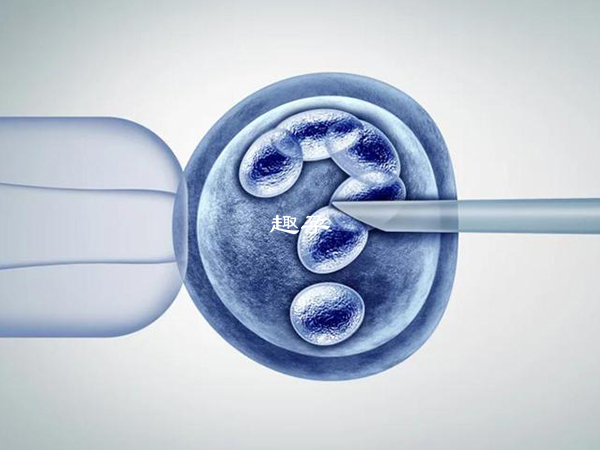 美国借卵试管可以大大提高成功率