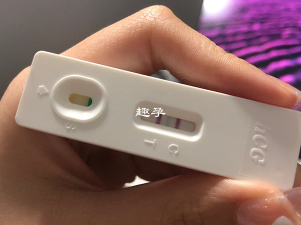 拉拉赴美生子最后一步是验孕养胎