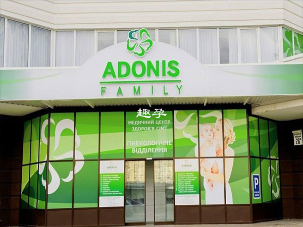 阿多尼斯（Adonis）医院外部环境