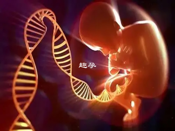 始基子宫是一种先天性子宫发育异常的疾病