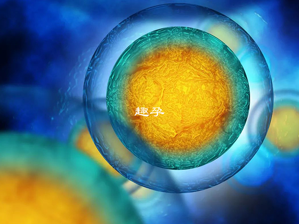 日本试管技术适用于排卵障碍患者