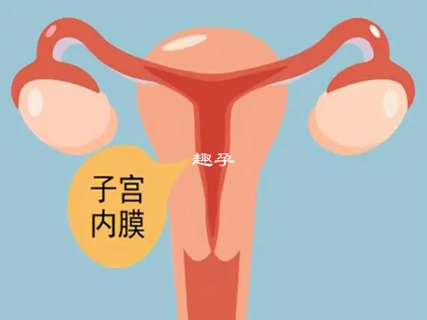 子宮內膜厚的治療方法