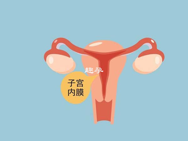 子宫内膜厚度会影响着床成功率