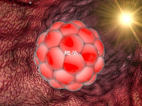 免疫因素可能導致著床不成功