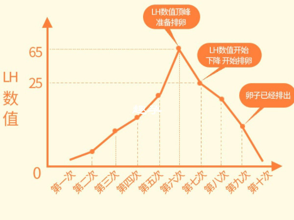 排卵试纸是用来监测女性排卵日期