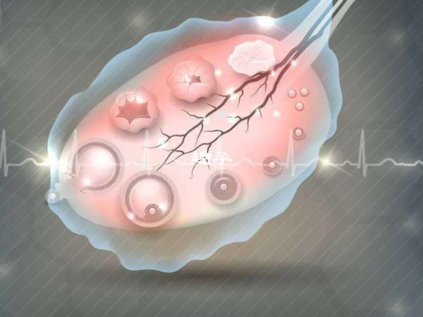 女性光有卵泡不一定能怀孕