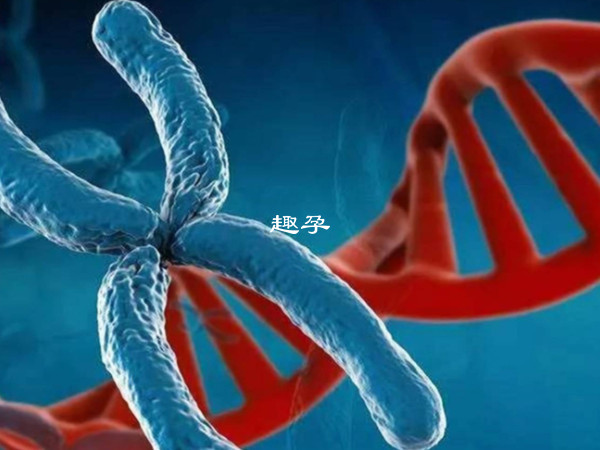 羊水穿刺可以篩查染色體異常