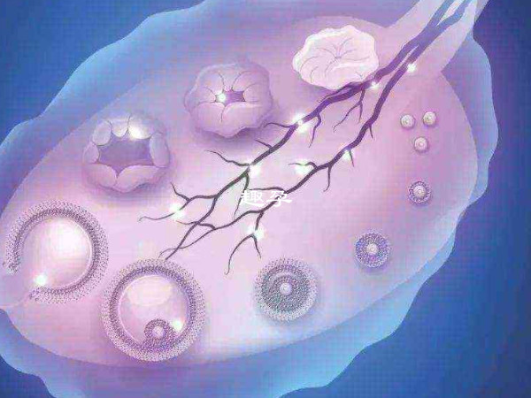 卵泡壁比较厚会造成卵泡破裂困难