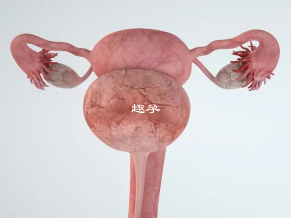 卵巢早衰女性不能怀孕