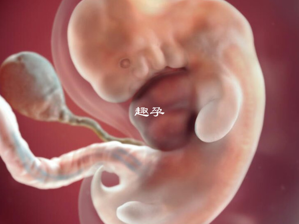 孕囊位置在子宮的中部比較好