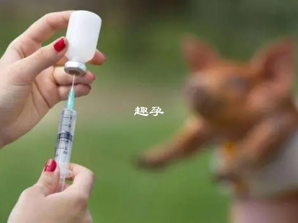 宝宝打了狂犬疫苗有禁忌