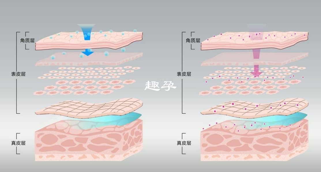 早上面板本身分泌的油脂量較少