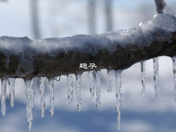 新年期間天氣比較寒冷