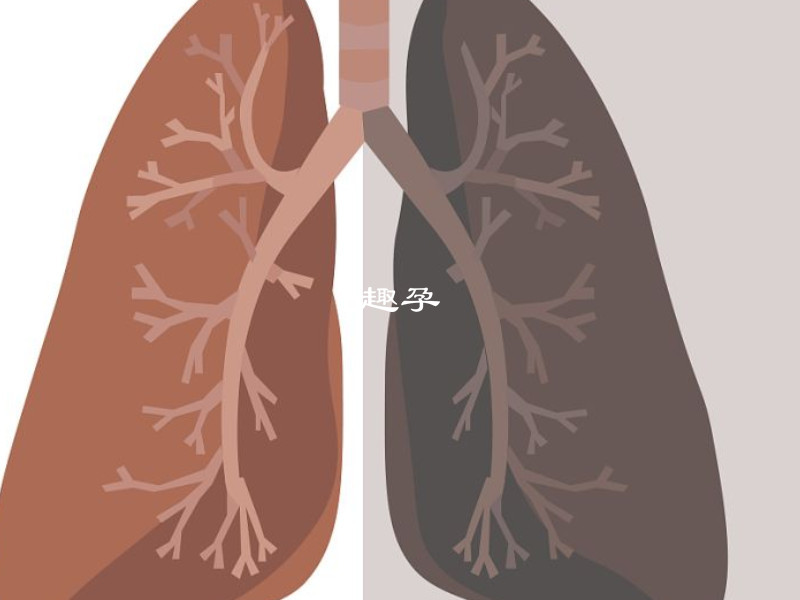 桑葉泡水能改善肺熱