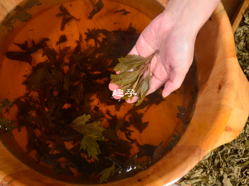 夏天排溼氣可以用艾蒿洗澡