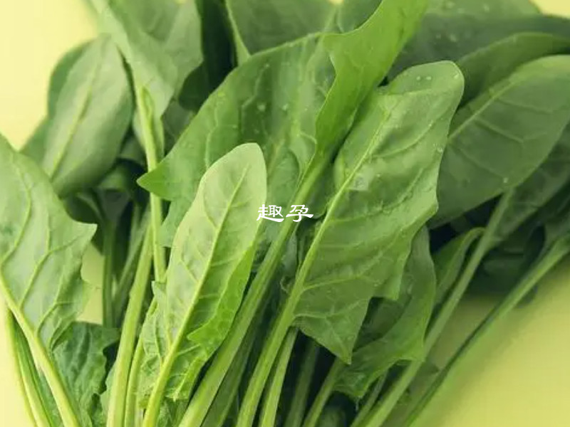 菠菜熱量很低