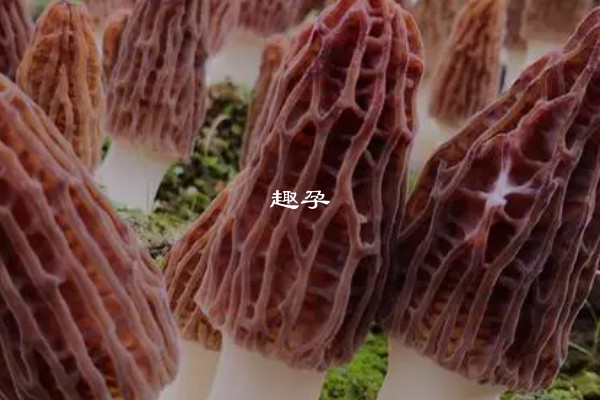 血沉高的女性不能吃的食物