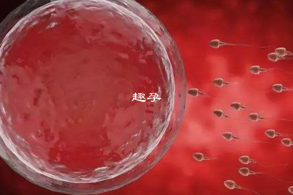 抗精子抗體試管嬰兒