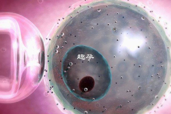 河南弓形子宮試管醫院推薦