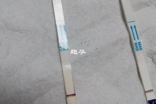 移植8天白板是著床時間沒到